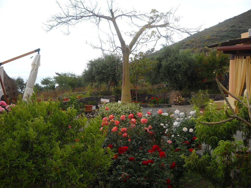 Al Belvedere Salina Leni